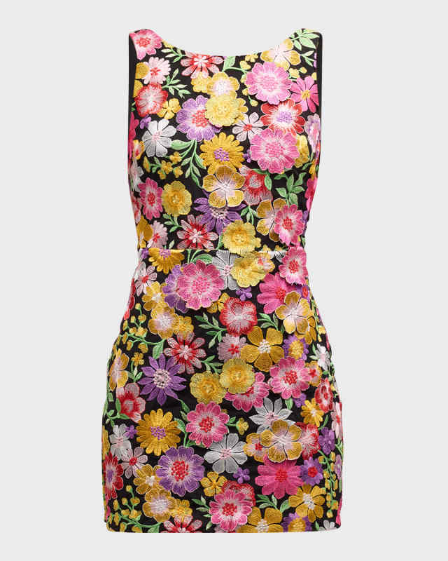 Julie Floral-Embroidered Lace-Up Mini Dress