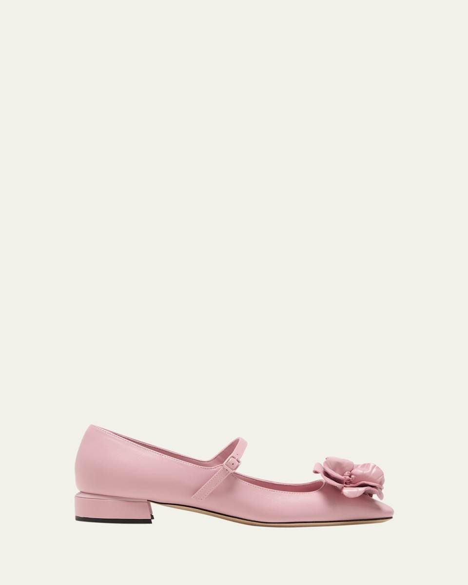 Rosa Flowers Leather Ballerina Pumps