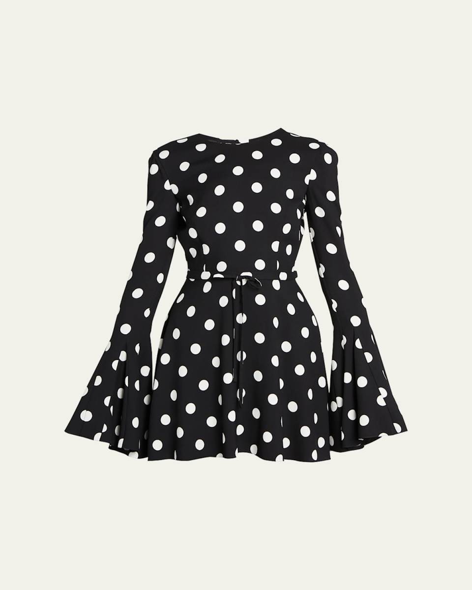 Polka Dot Mini Flare Dress