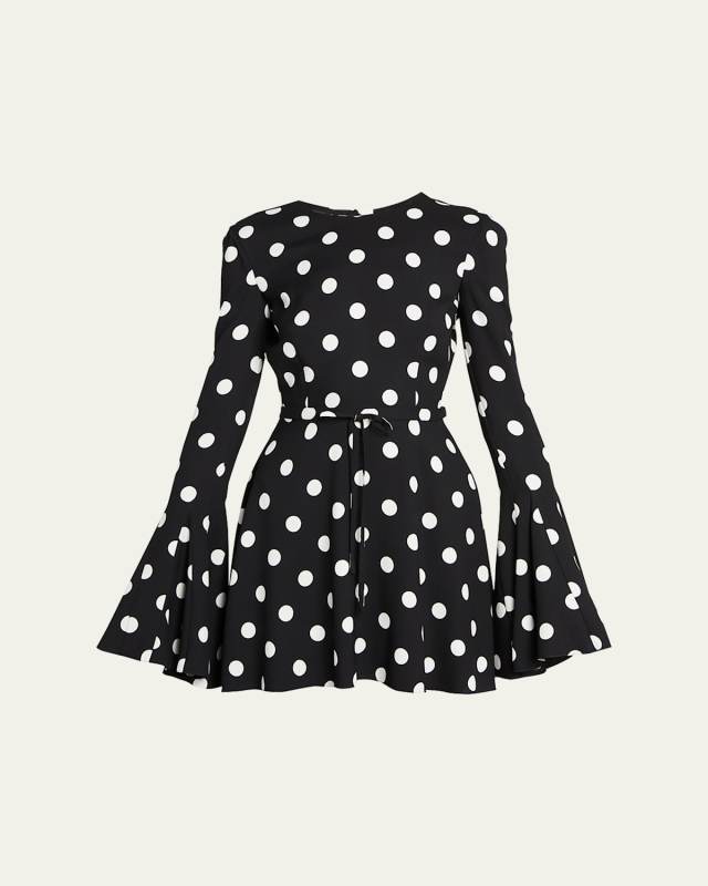 Polka Dot Mini Flare Dress