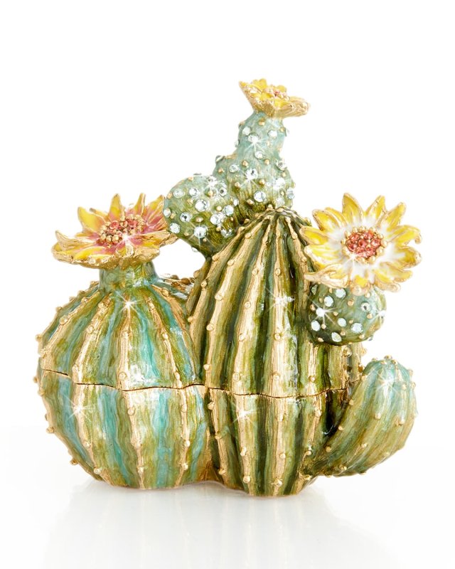 Cactus Box
