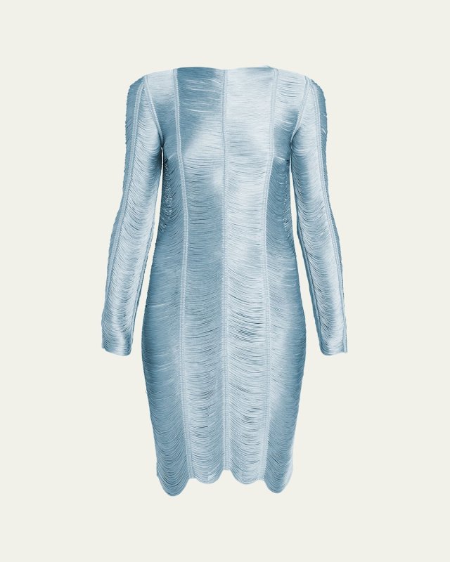 Shiny Fringe Cocktail Dress