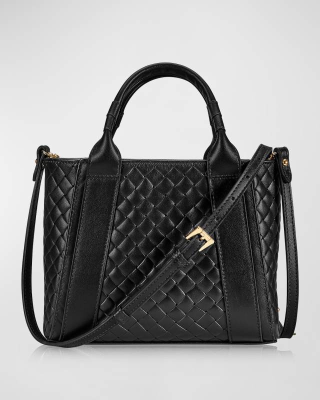 Dylan Mini Woven Leather Tote Bag