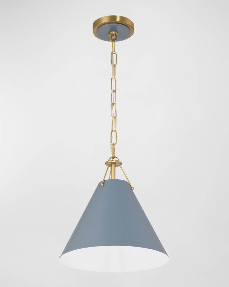 Xavier 1-Light Pendant Light