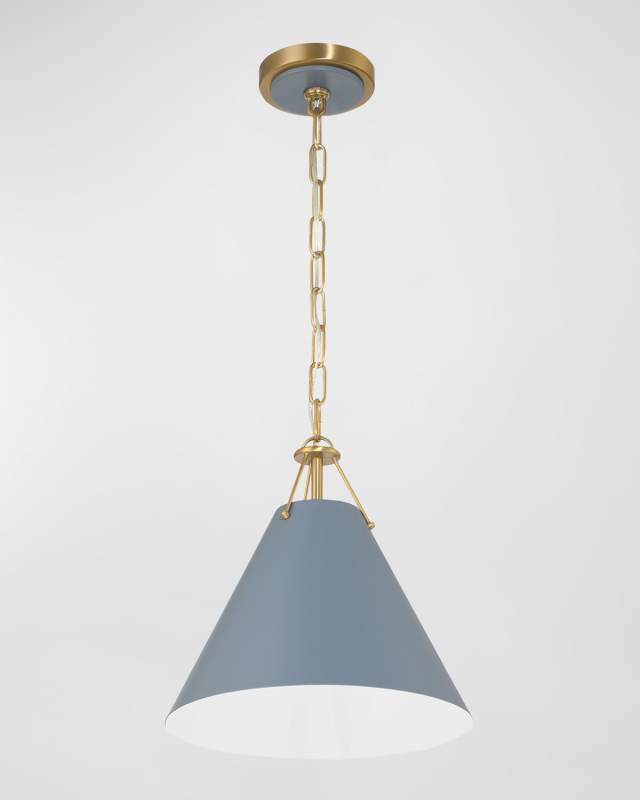 Xavier 1-Light Pendant Light
