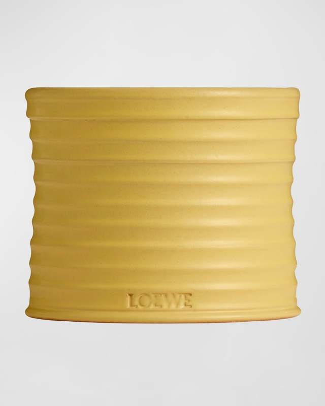 21.5 oz. Medium Honeysuckle Candle