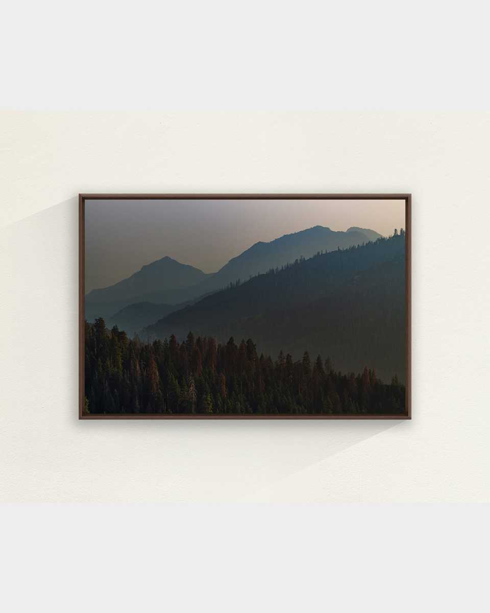"Above the Trees" Framed Giclee by Adam Mowery, 47" x 32"