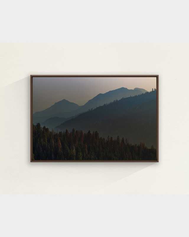 "Above the Trees" Framed Giclee by Adam Mowery, 47" x 32"