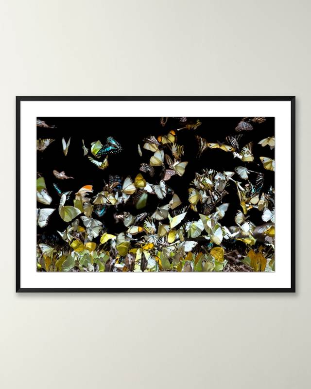 "Reflecting Butterflies 2" Giclee