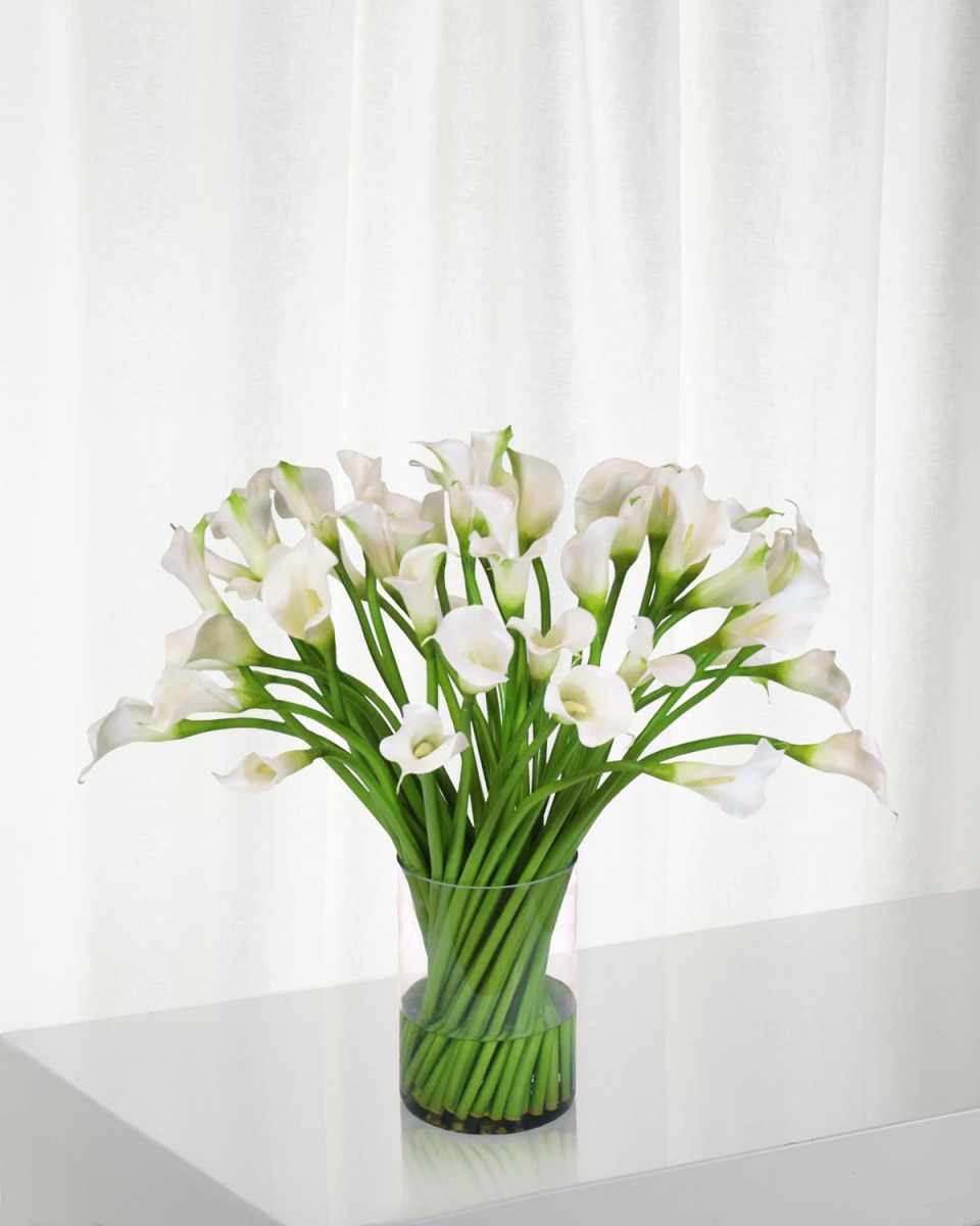 Calla Lily in Clear Cylinder Vase