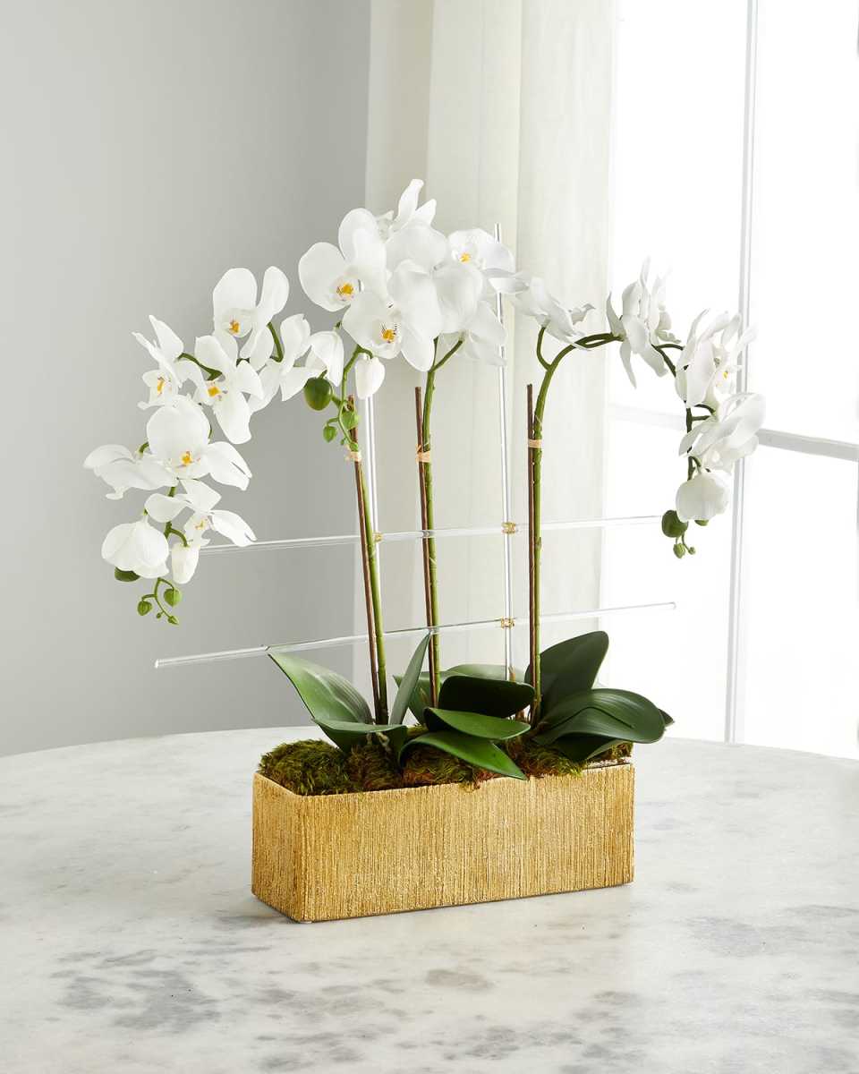 Golden Drip Orchids Arrangement