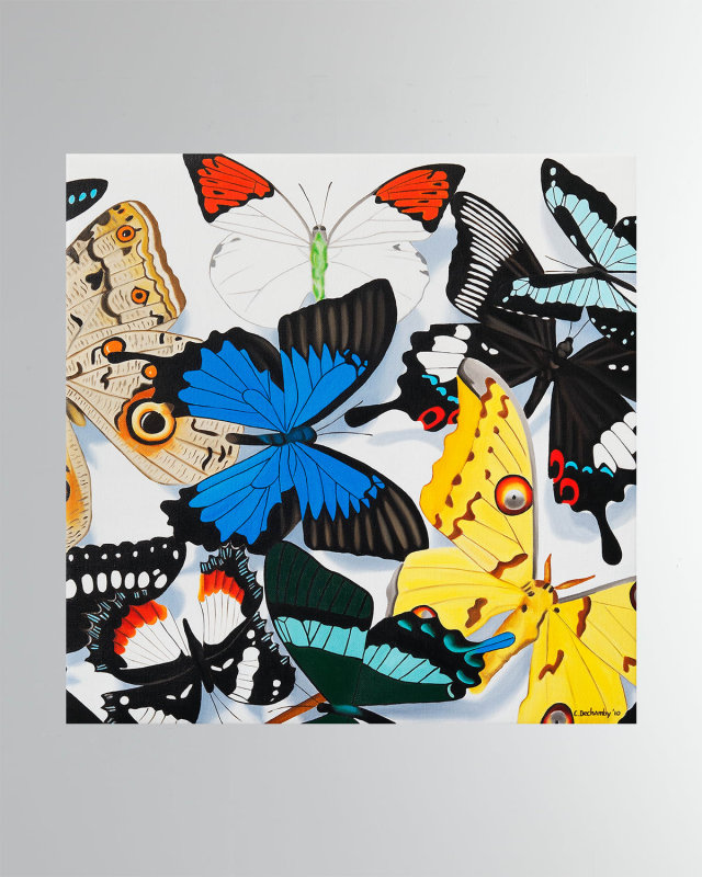 "Papillion Carrer" Fine Art Print by Caroline Dechamby