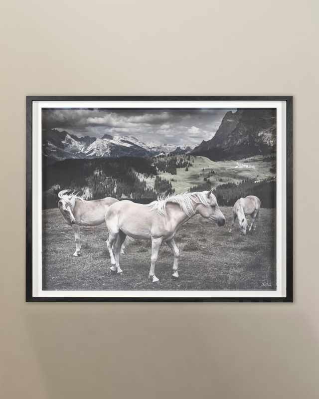 "Horses in Europe" Archival Digital Print by Chris Dunker