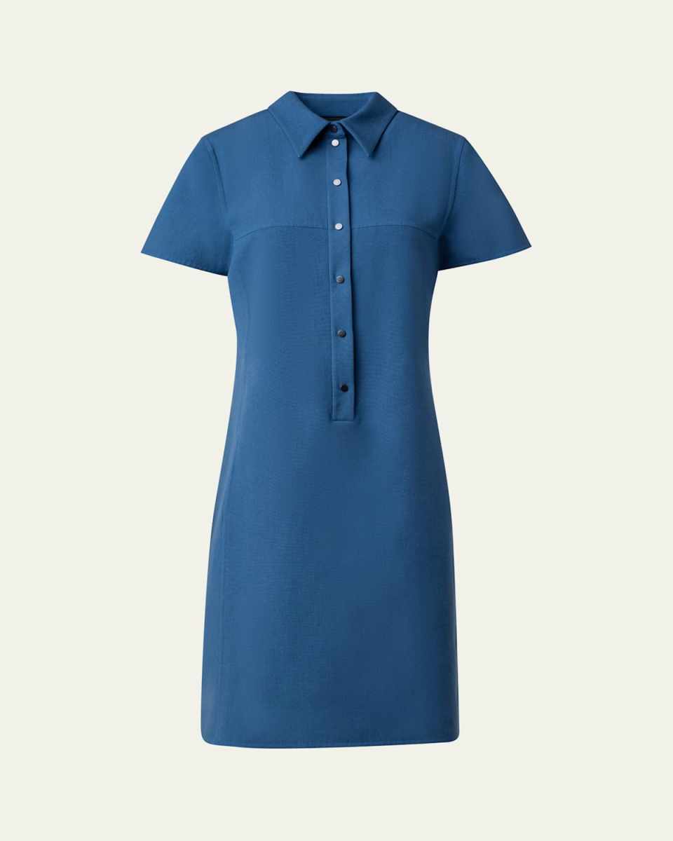 Cotton Silk Button-Front Polo Dress