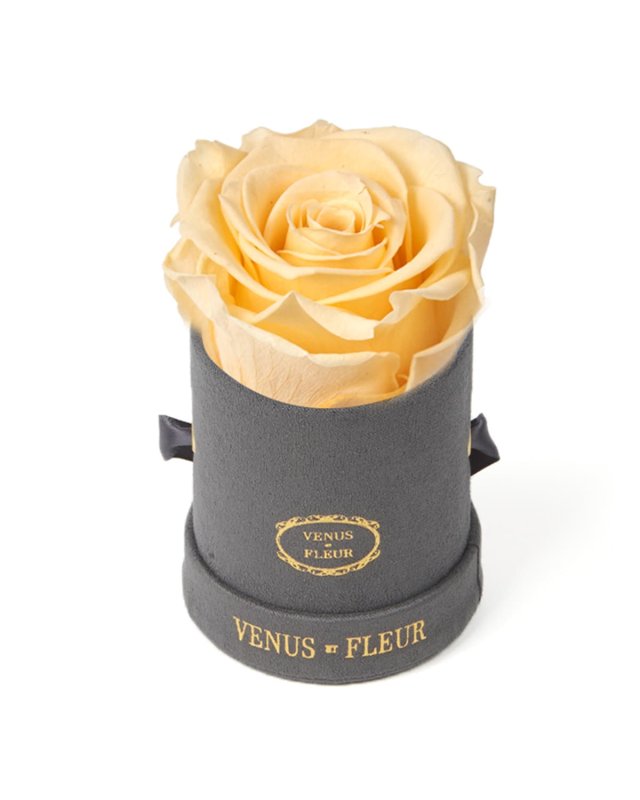 Suede Mini Round Rose Box