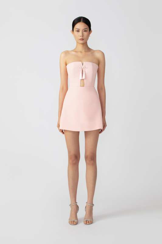 Isla Strapless Mini Dress