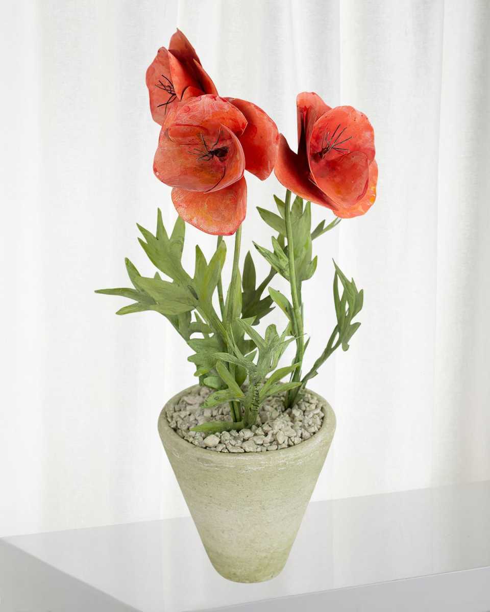 Poppy August Birth Flower in White Terracotta Pot