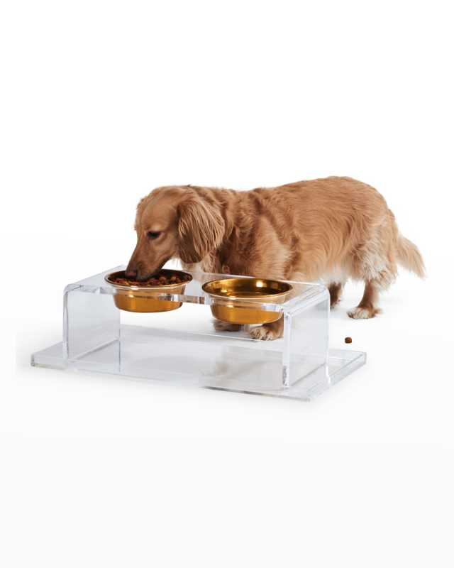 Small Clear Double Pet Bowl Feeder with 1 Pint Gold Bowls