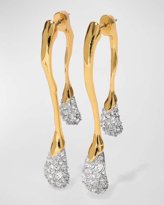 Solanales Front-Back Double Drop Crystal Earrings