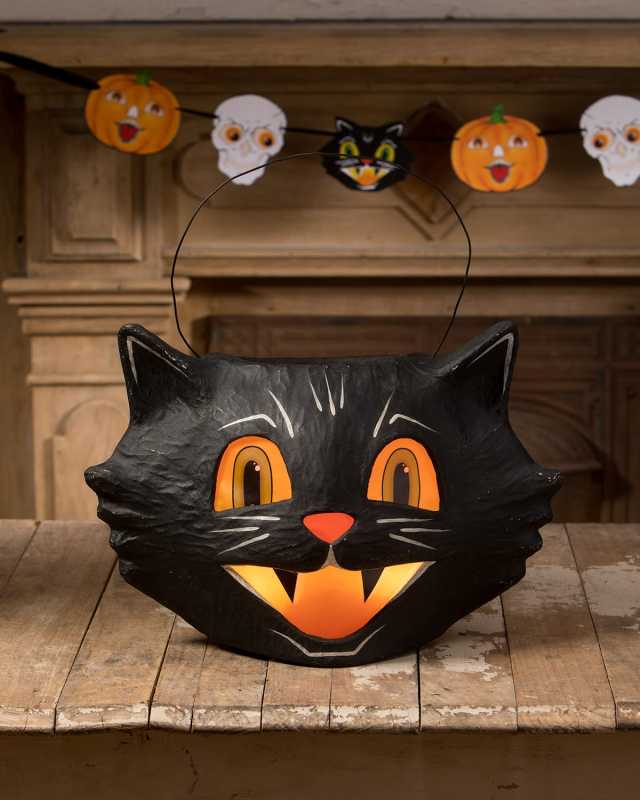 Mr. Cool Cat Bucket