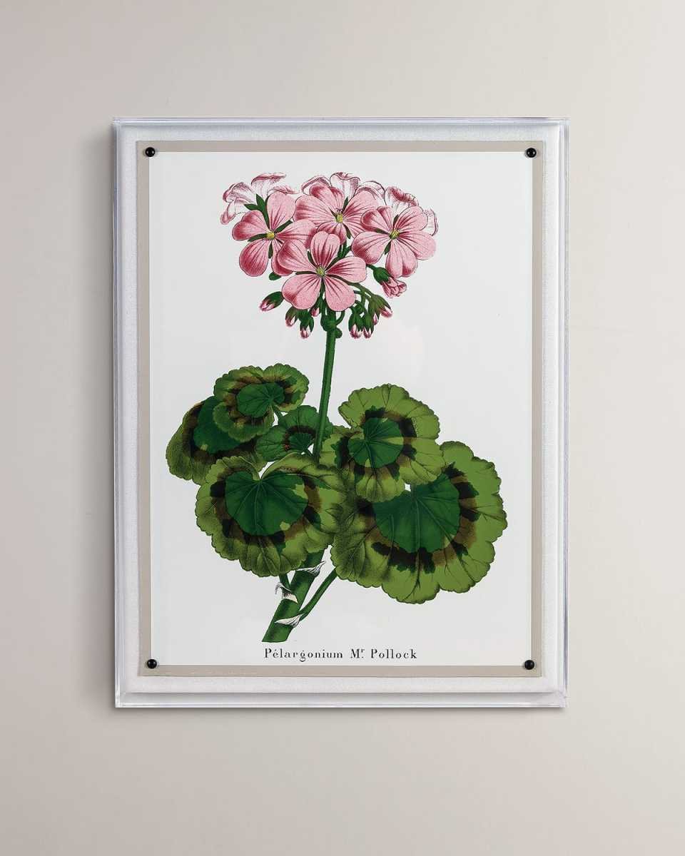 "Geranium II" Giclee Print