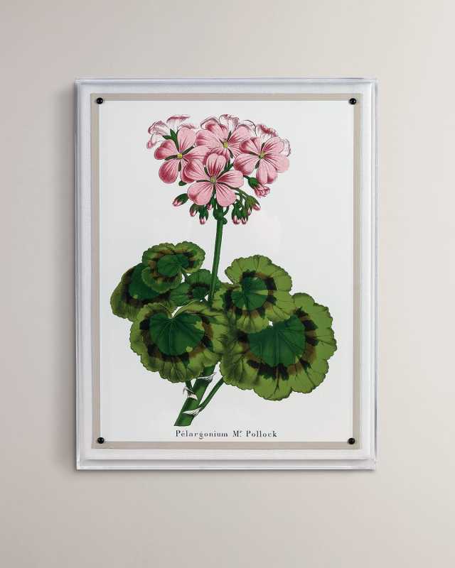 "Geranium II" Giclee Print