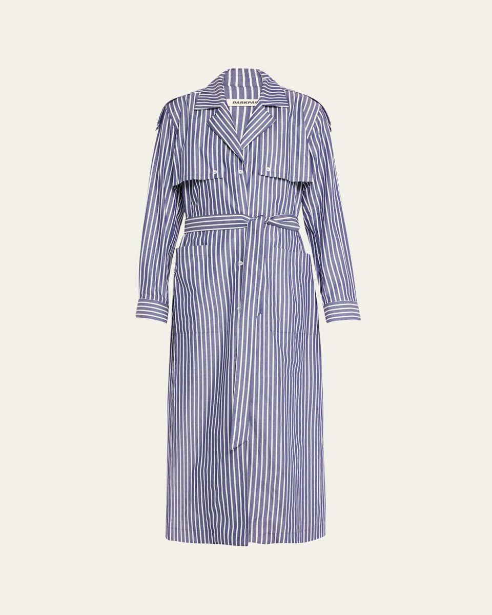 Lone Stripe Shirting Dress