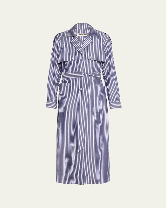 Lone Stripe Shirting Dress