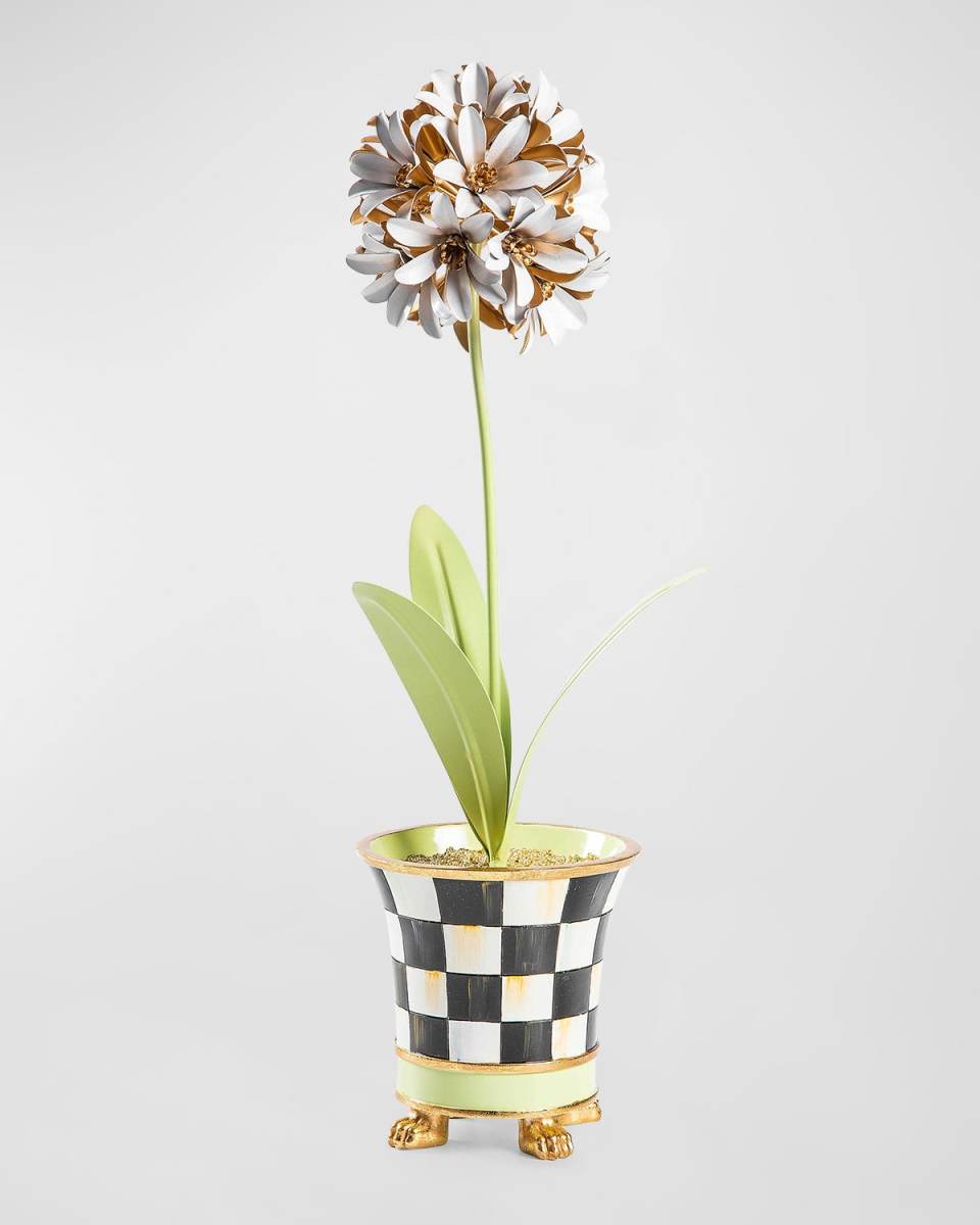 Botany Potted Allium Flower