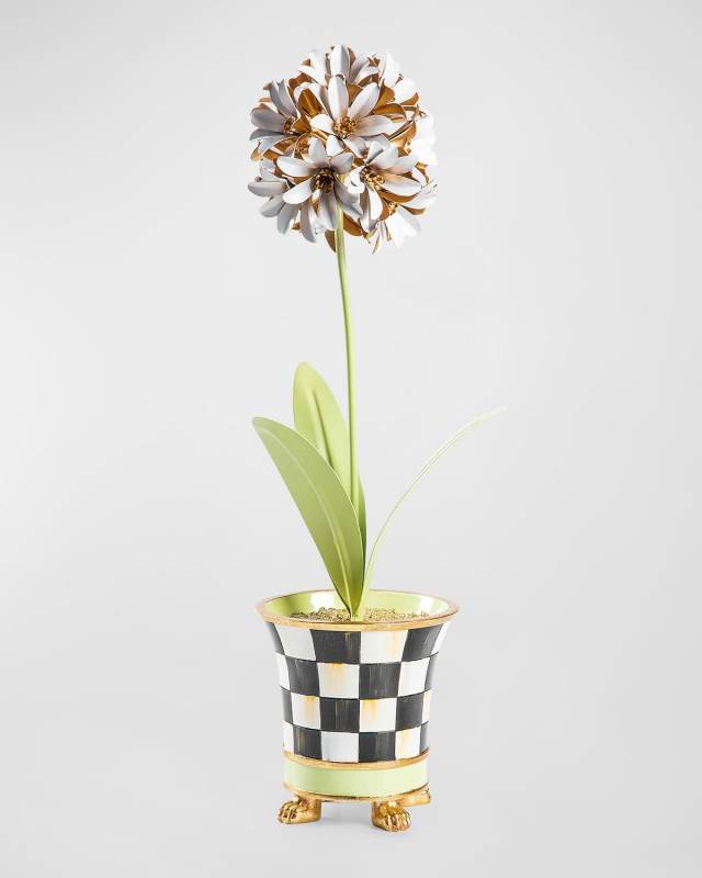 Botany Potted Allium Flower