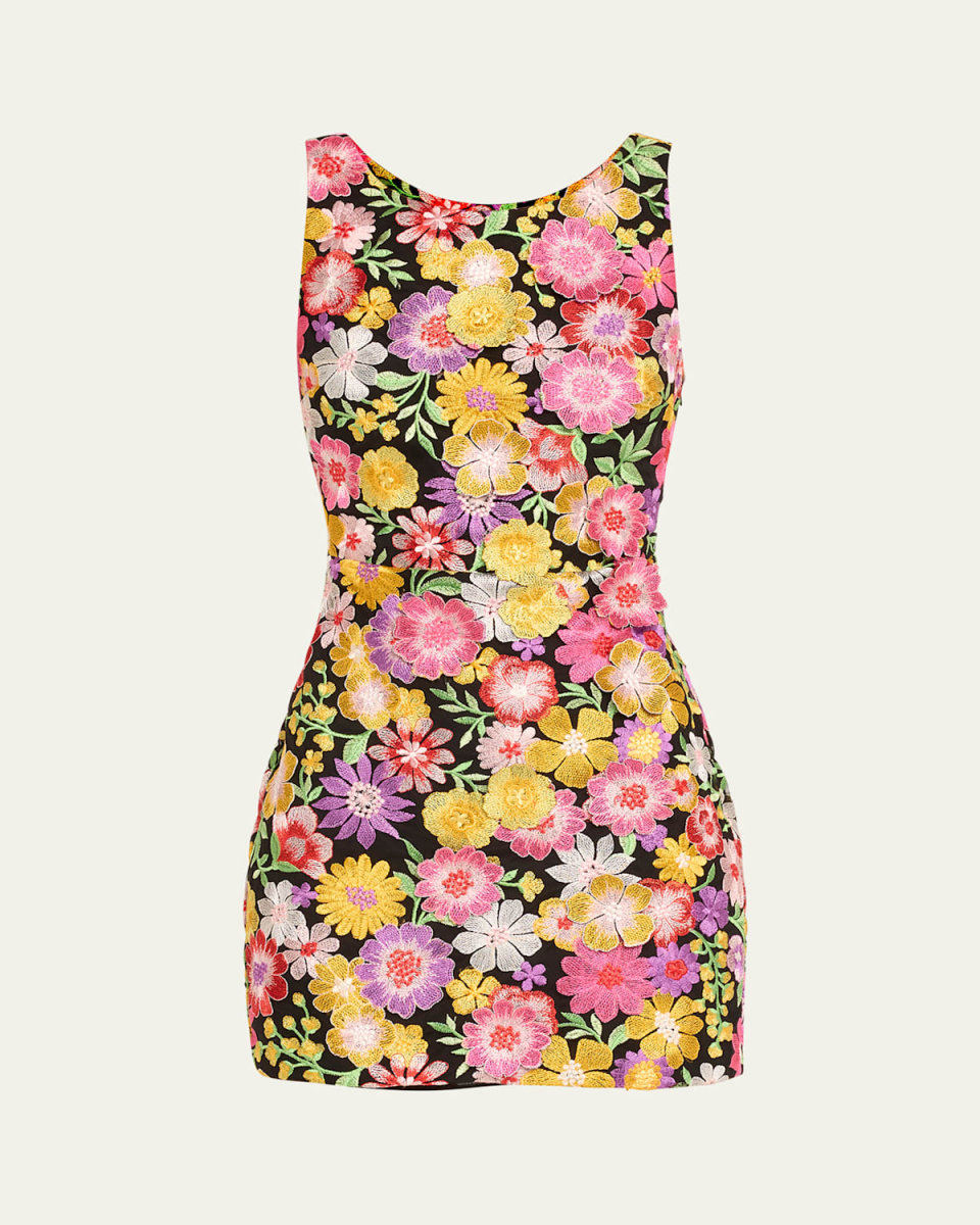 Julie Floral-Embroidered Lace-Up Mini Dress
