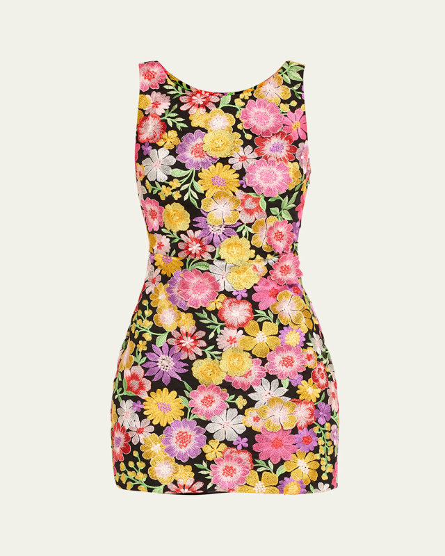 Julie Floral-Embroidered Lace-Up Mini Dress