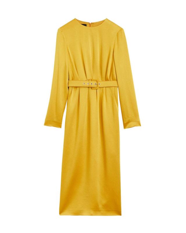 Long Sleeved Midi Dress