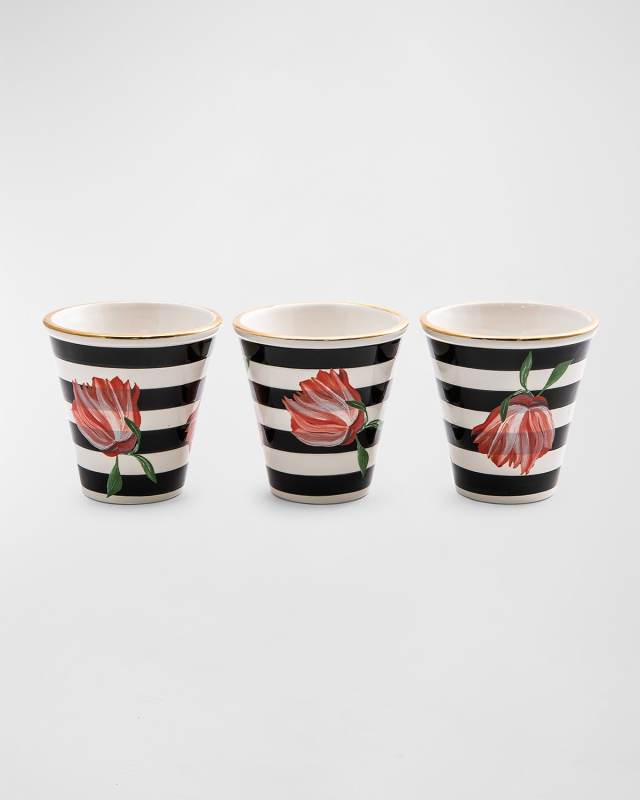 Flower Show Pots, Set of 3