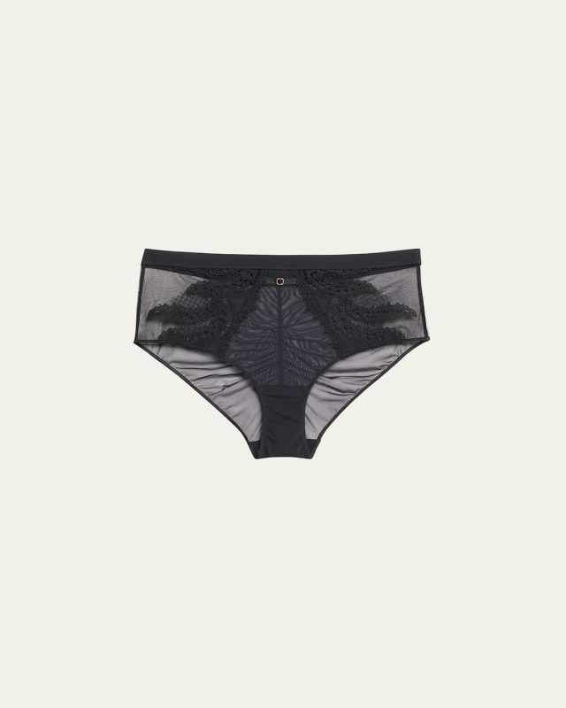 Mystic Embroidered Tulle & Crepe Briefs