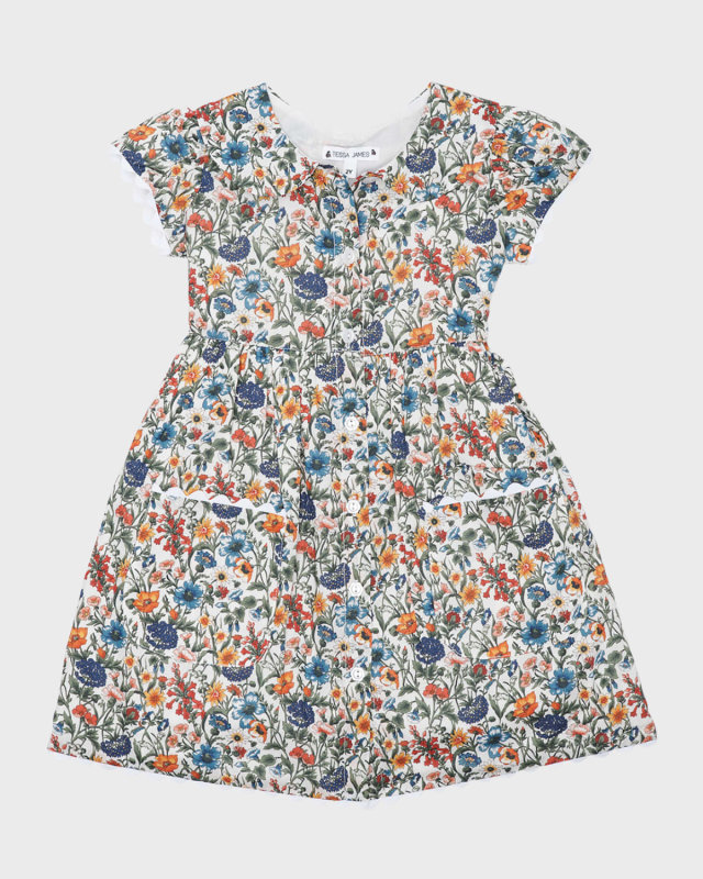 Girl's Emma Dainty Floral-Print Dress, Size 2-6
