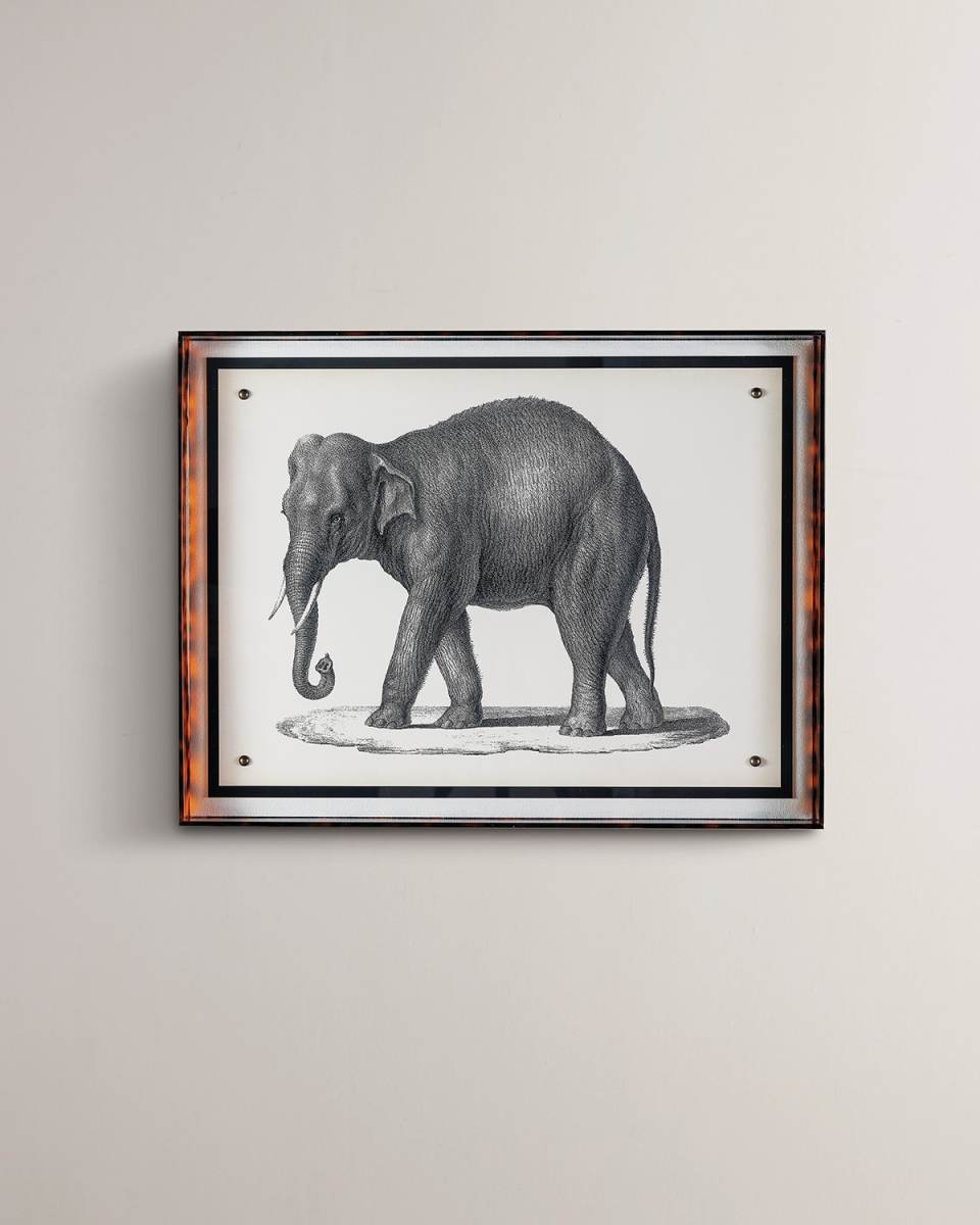 "Elephant" Giclee
