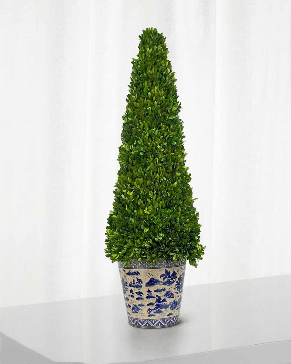 Boxwood Tall Topiary