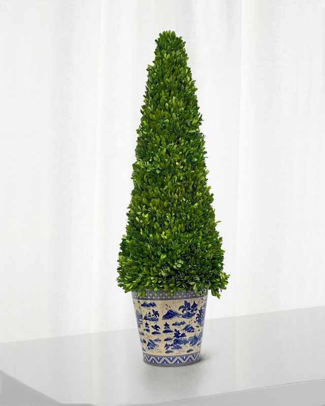 Boxwood Tall Topiary