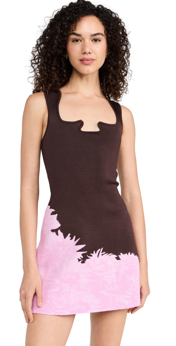 PH5 Mini Tank Dress Pink Brown