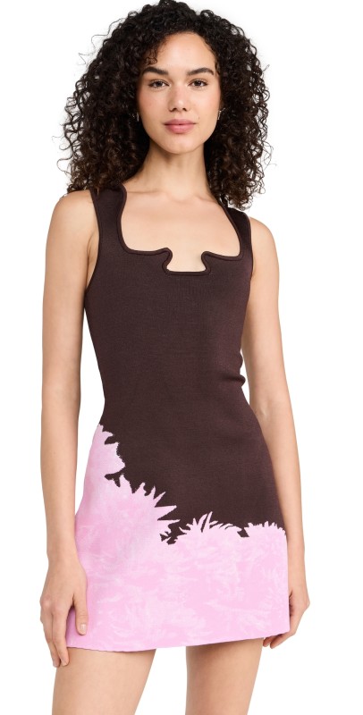 PH5 Mini Tank Dress Pink Brown