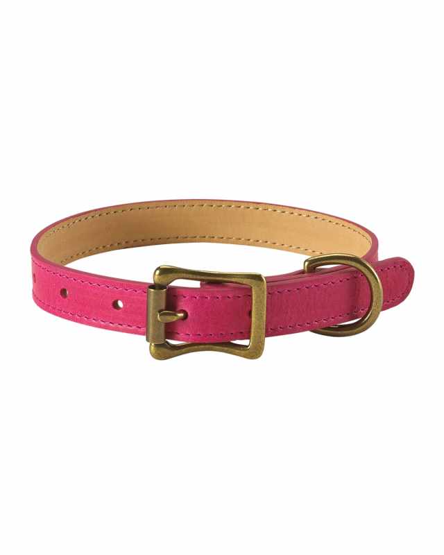 Personalized Small Dog Collar