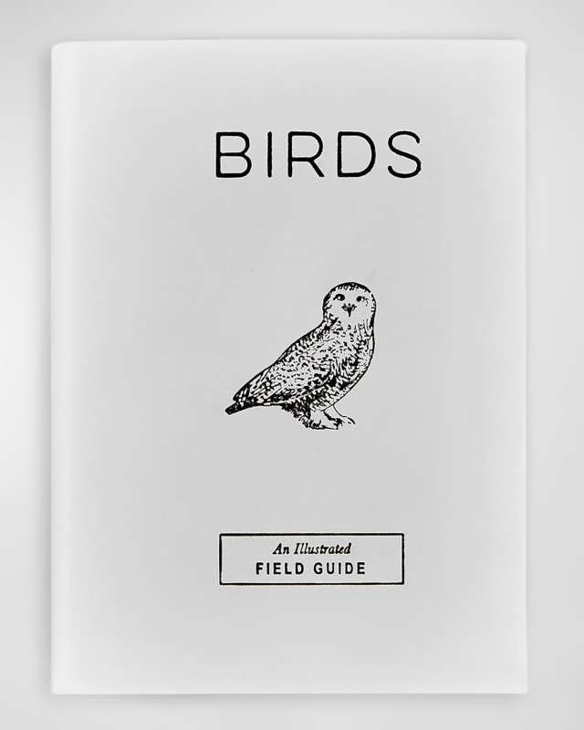 Birds: An Illustrated Field Guide Book