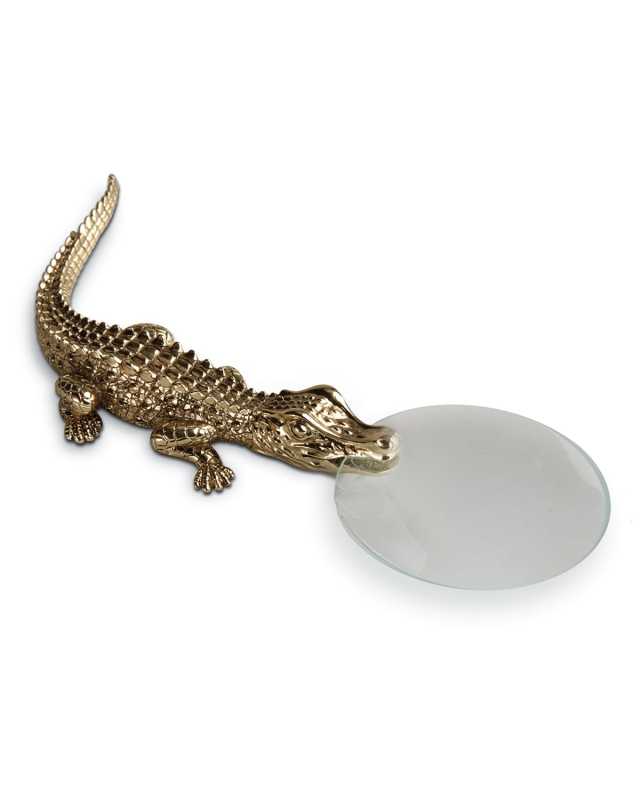 Crocodile Magnifying Glass
