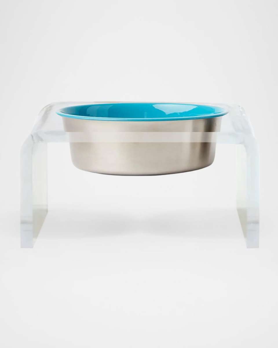 Clear Single Slow Feeder with Slow Feed Bowl, 1 Quart