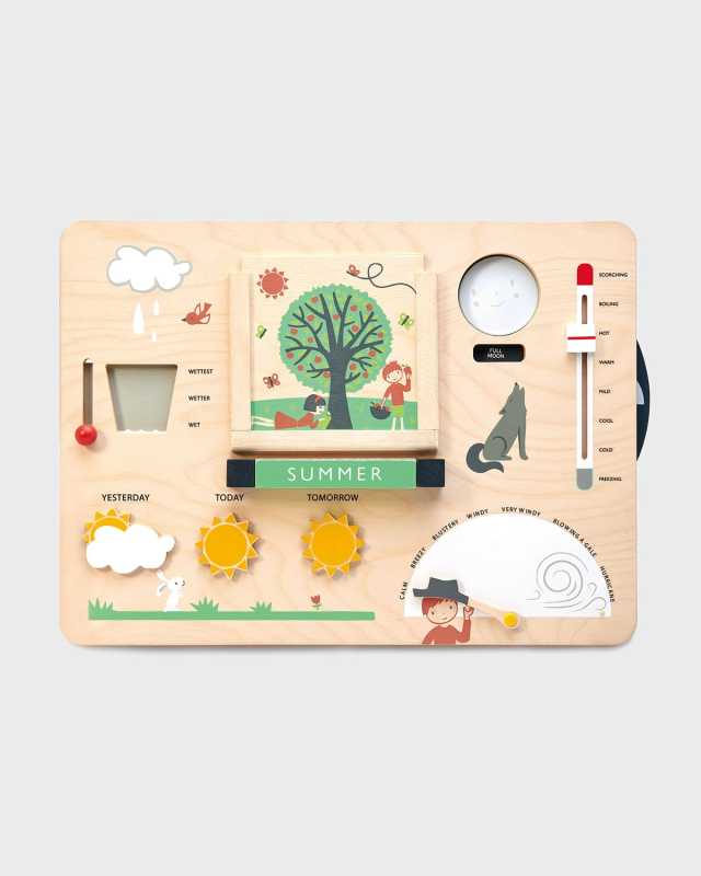 Weather Watch Wooden Toy Set