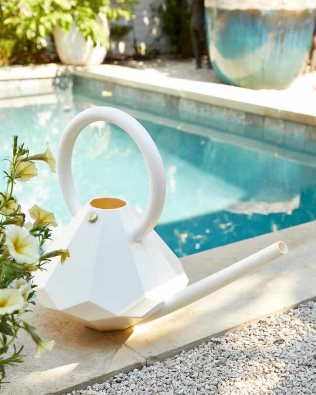 Diamond Watering Can