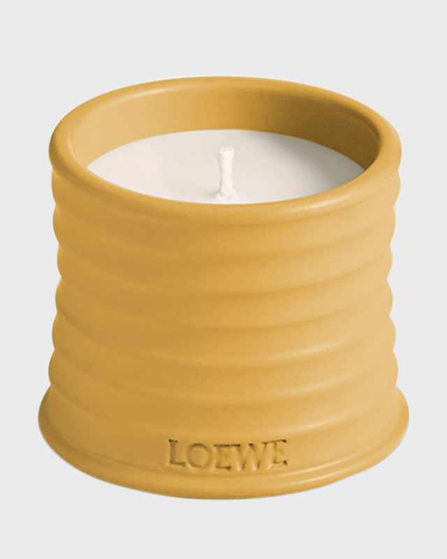 Wasabi Scented Candle, 170g