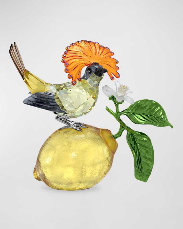 Idyllia Royal Flycatcher
