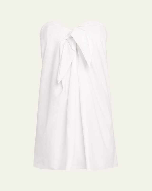 Kaia Tie-Front Strapless Mini Dress